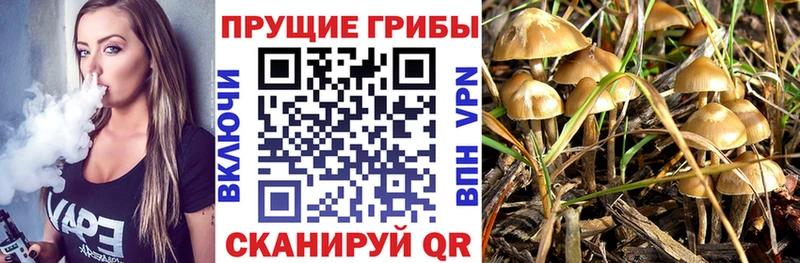 что такое наркотик  Рыбинск  Псилоцибиновые грибы MAGIC MUSHROOMS 