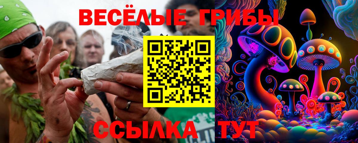 Рыбинск  Галлюциногенные грибы Psilocybe  Вход с VPN 
